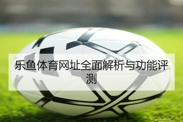 乐鱼体育网址全面解析与功能评测