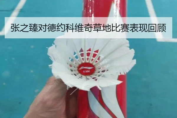张之臻对德约科维奇草地比赛表现回顾
